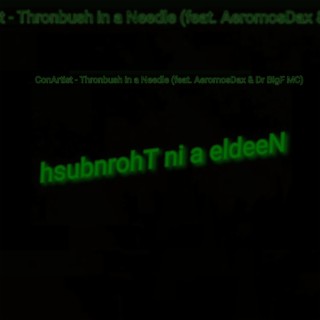 Thornbush in a Needle
