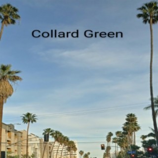Collard Green
