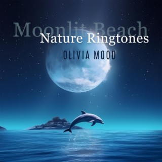 Moonlit Beach ASMR: Nature Ringtones, Soothing Alarm Tones, Tranquil Ocean Waves, Sandy Shore