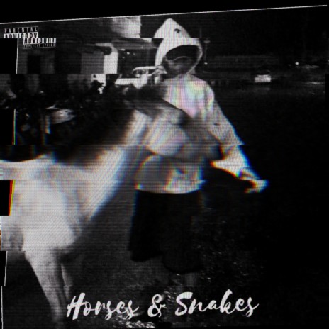 Horses and Snakes