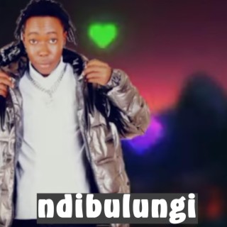 Ndibulungi Vyro lyrics | Boomplay Music