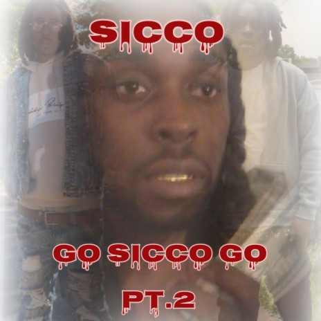 Go Sicco Go, Pt. 2 | Boomplay Music