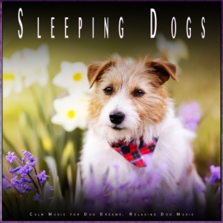 Sleeping Dogs: Calm Music for Dog Dreams, Relaxing Dog Music