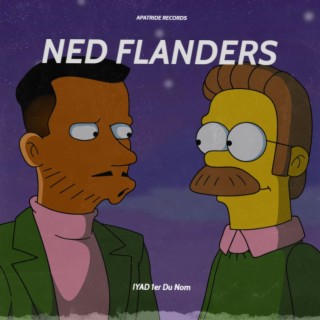 NED FLANDERS