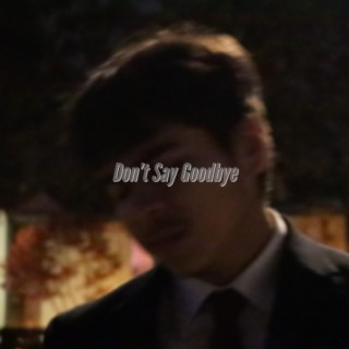 Don't Say Goodbye lyrics | Boomplay Music