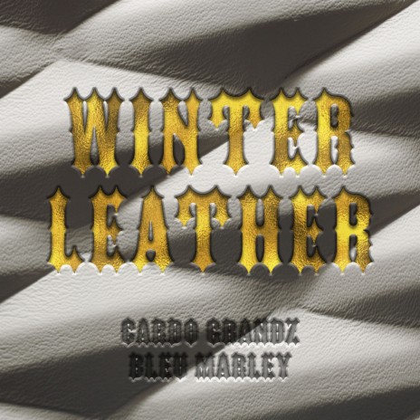 Winter Leather ft. BLEU MARLEY | Boomplay Music