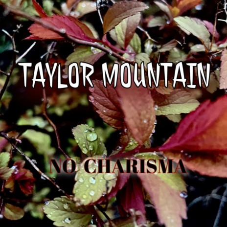 Taylor Mountain | Boomplay Music