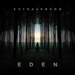 Extrasensor
