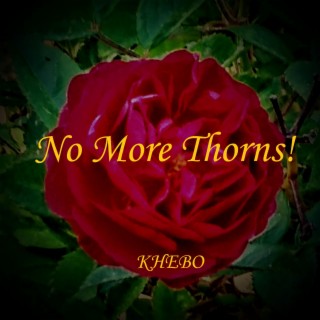 No More Thorns!