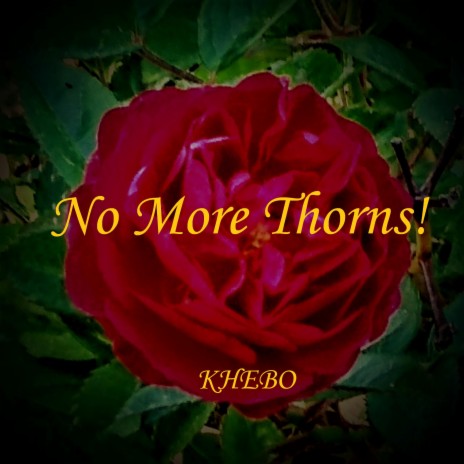 No More Thorns! | Boomplay Music