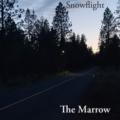 The Marrow | Boomplay Music