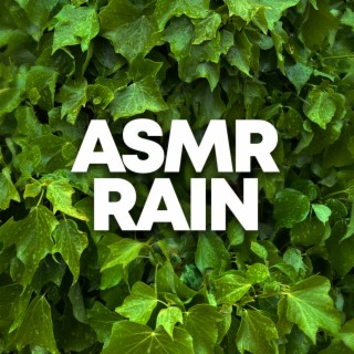 ASMR Rain