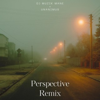 Perspective (Remix)