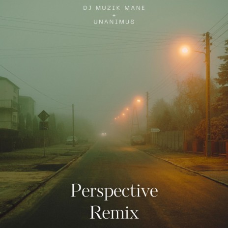 Perspective (Remix) ft. Unanimus | Boomplay Music