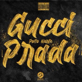 Pollo Norte - GUCCI PRADA