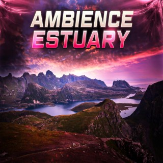 Estuary (Ambience)