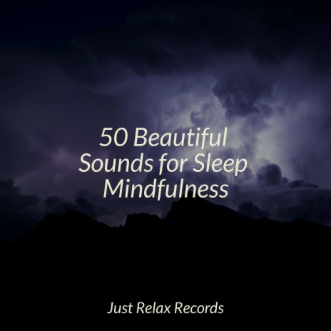 Mystical Lull of Serenity ft. Música Relajante para Bebés & Massage Therapy Music | Boomplay Music