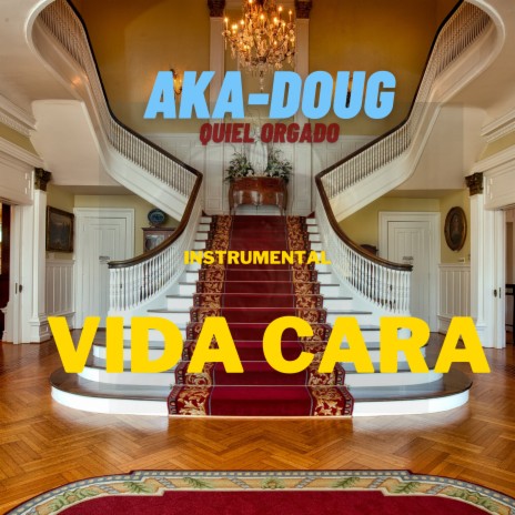 Vida Cara | Boomplay Music