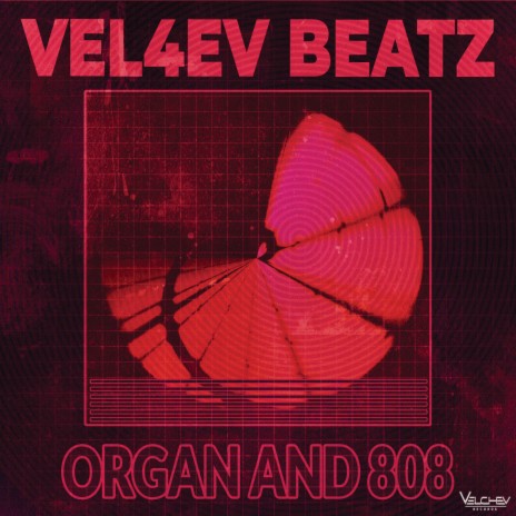 Organ and 808