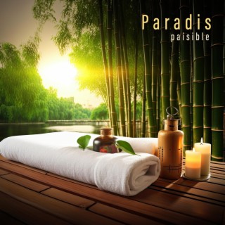 Paradis paisible: Votre évasion vers la tranquillité