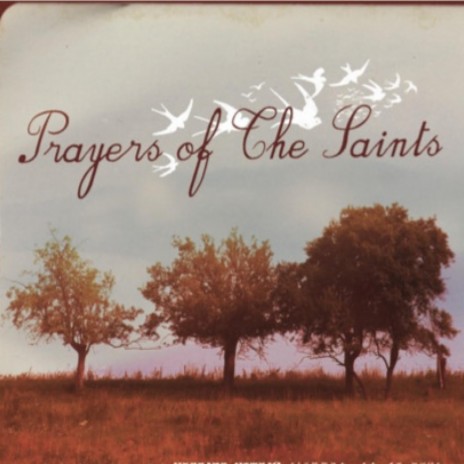 Prayer of St. Francis ft. Marty Reardon | Boomplay Music