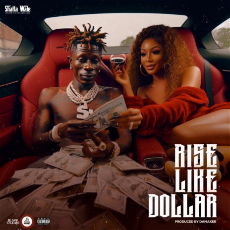 Rise Like Dollar | Boomplay Music