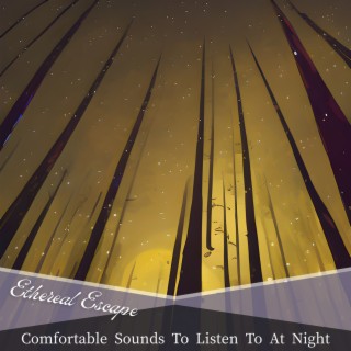 Comfortable Sounds to Listen to at Night