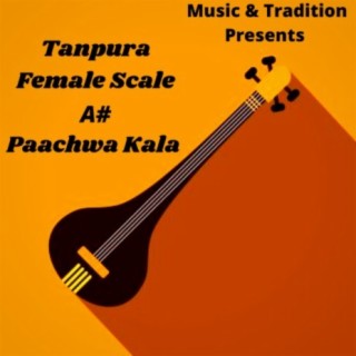 Tanpura A Original Scale