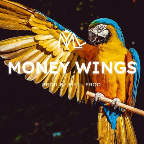 Money Wings | Boomplay Music