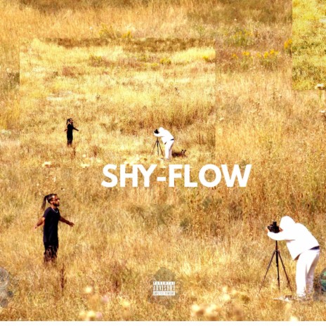 SHY FLOW | Boomplay Music