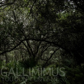 gallimimus