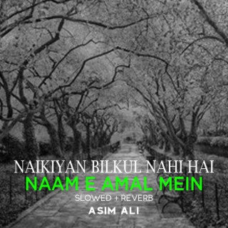 Naikiyan Bilkul Nahi Hai Naam e Amal Mein Lofi