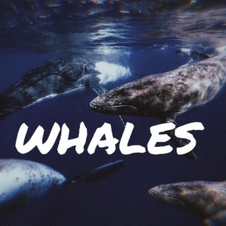 Whales (Instrumental)