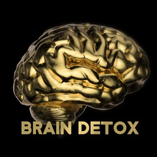 Brain Detox: Vibrations and Meditation for Cleansing