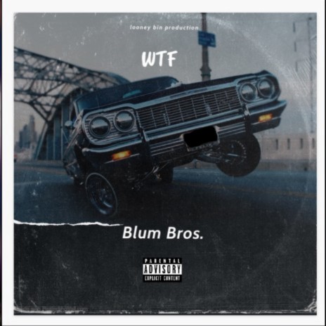 WTF | Boomplay Music