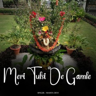 Meri Tulsi De Gamle