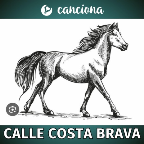 Calle Costa Brava | Boomplay Music