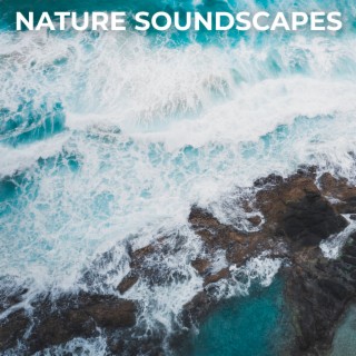 Nature Soundscapes