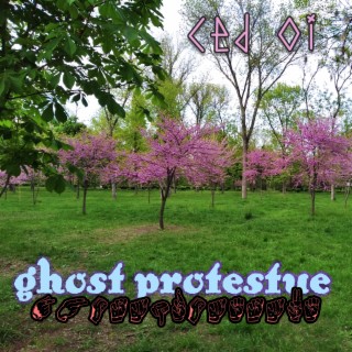 Ghost Protestue