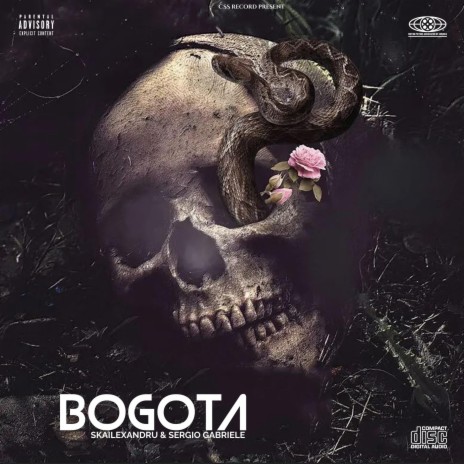 BOGOTA 2024 HIT | Boomplay Music