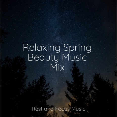 Soothing Music | Boomplay Music