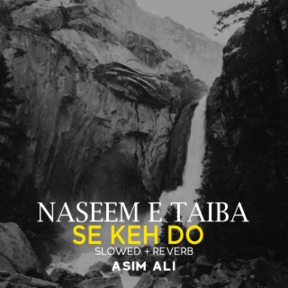 Naseem e Taiba Se Keh Do Lofi