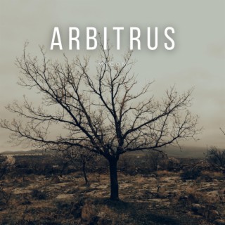 Arbitrus