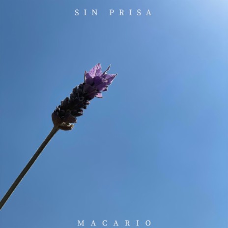 Sin Prisa | Boomplay Music