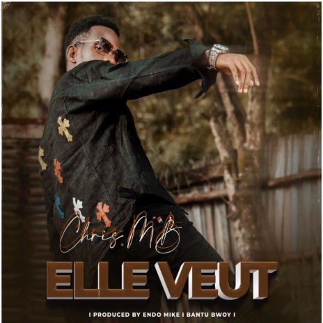 Elle veut | Boomplay Music