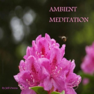 Ambient Meditation