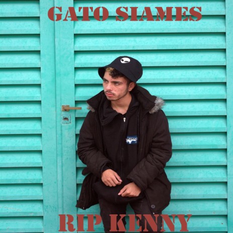 Gato Siames | Boomplay Music