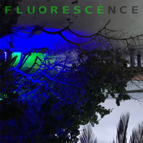 Fluorescence | Boomplay Music