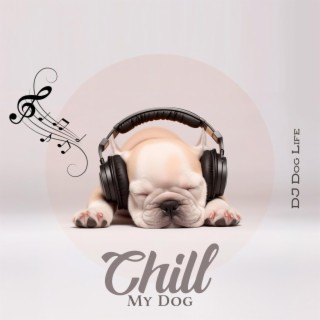 Chill My Dog: Chill Out Music to Relax, Relief Stress, Anxiety, Dog Alone at Home