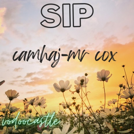 SIP ft. mr cox | Boomplay Music